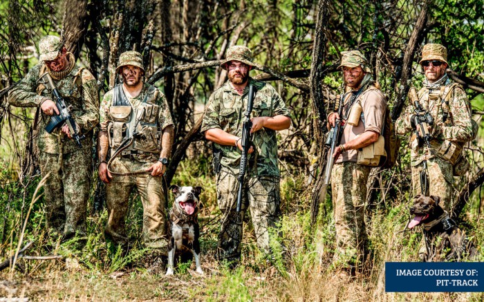 2016-March--Diego-dog-secondary-Image