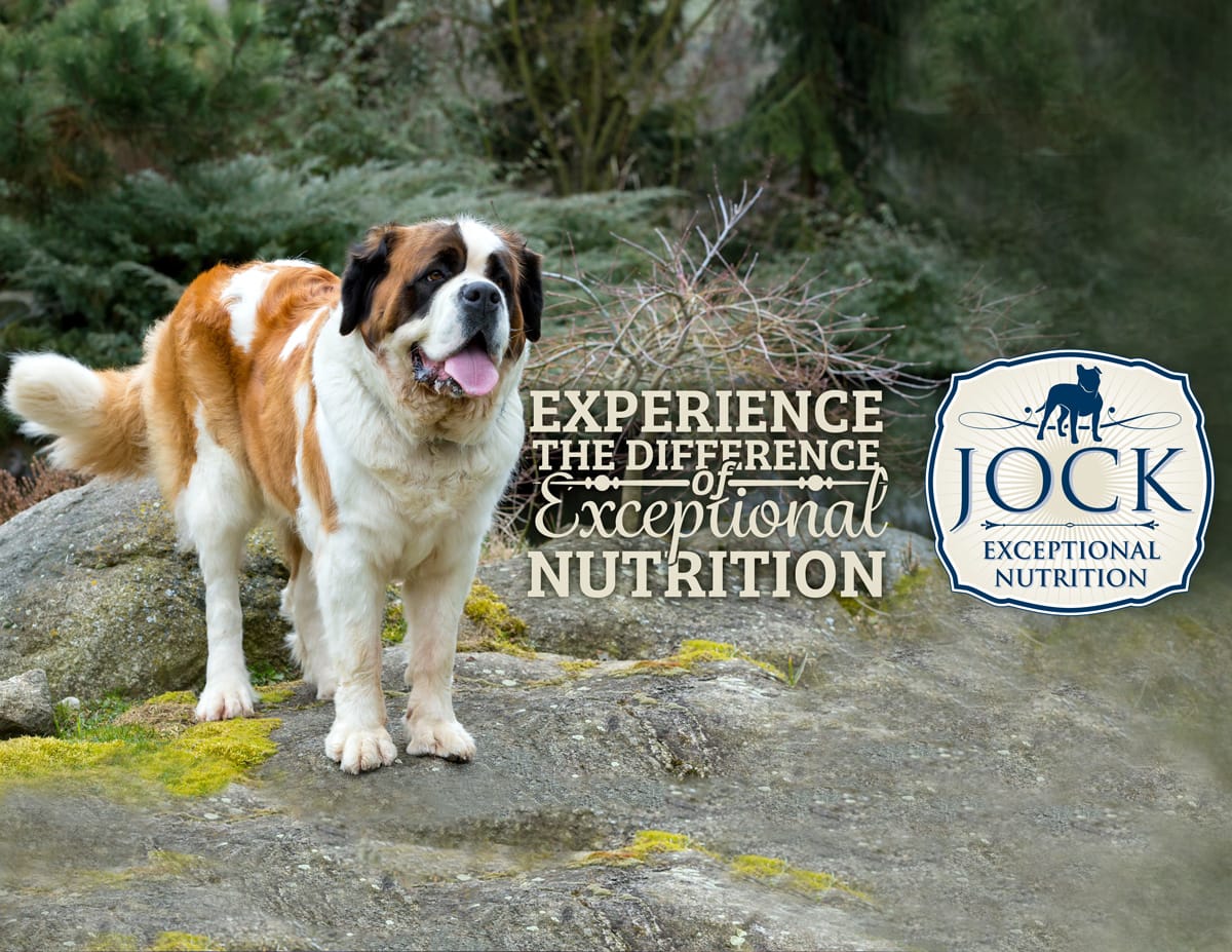 Know Your Breed Saint Bernard Jock Dog Food